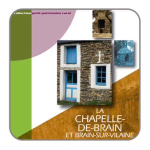 brain-couv